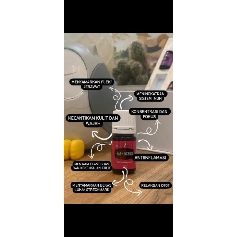 Essential Oil YL Frankincense 5 ML