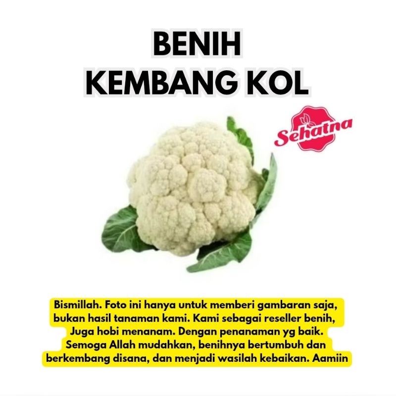 

BENIH KEMBANG KOL BENIH SAYUR