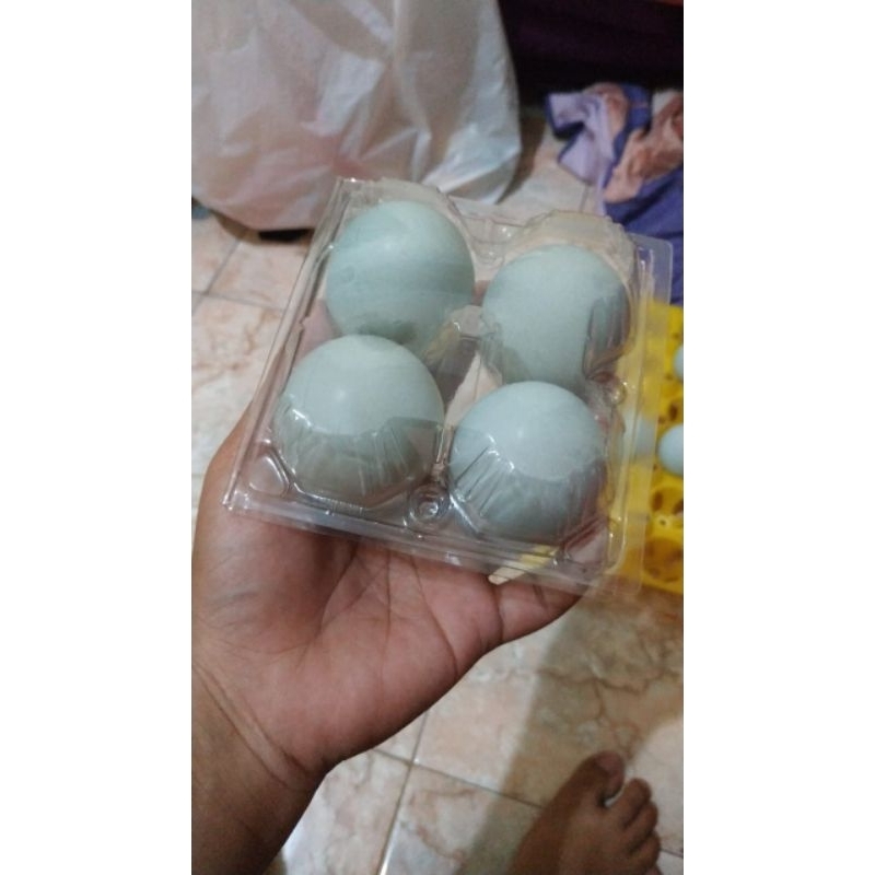

Telur Asin