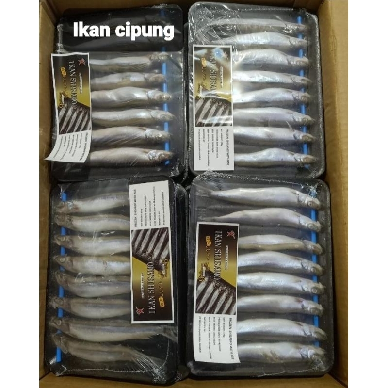 

IKAN FROZEN SHISAMO / IKAN CIPUNG