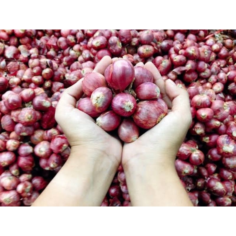 

BAWANG MERAH SUPER 2KG BONUS 100GRAM BAWANG MERAH BREBES