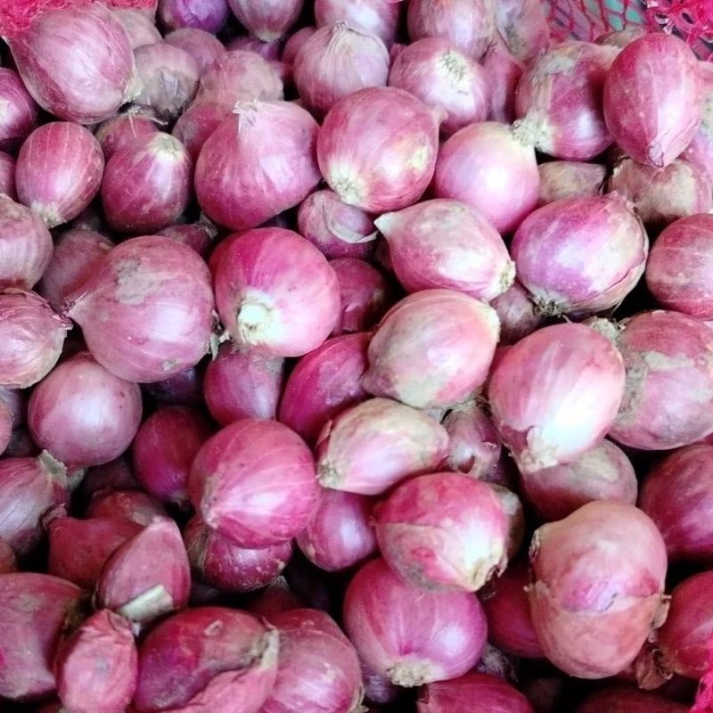 

bawang merah super ukuran besar campur 1kg