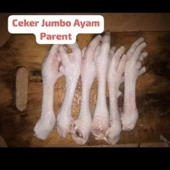 

CEKER AYAM JUMBO