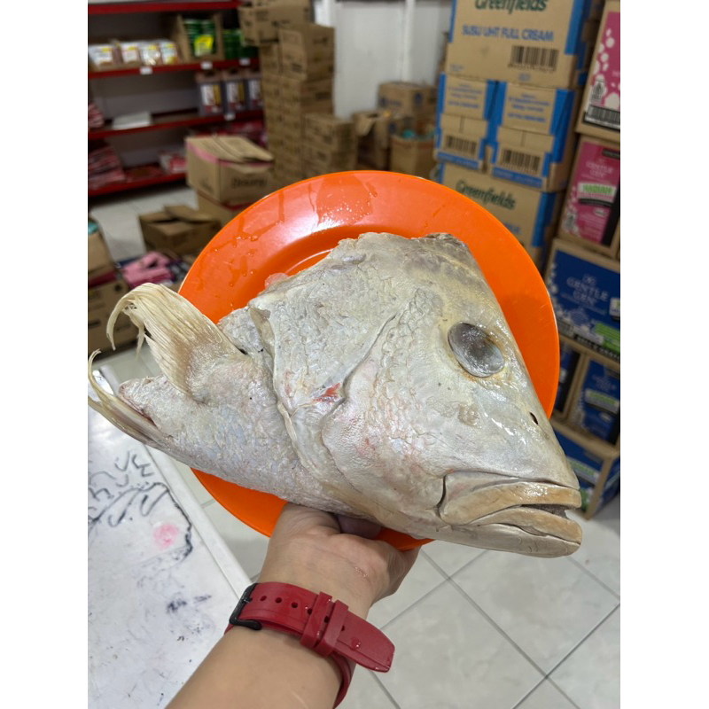 

Kepala kakap JUMBOO