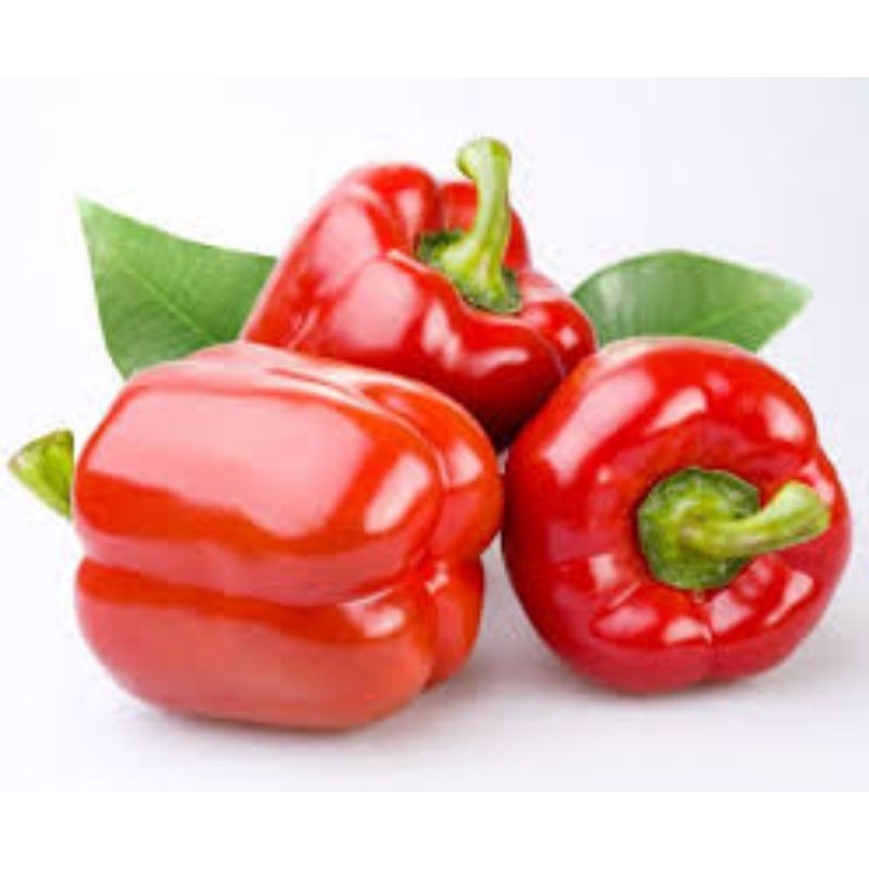 

paprika merah 250gr-1kg