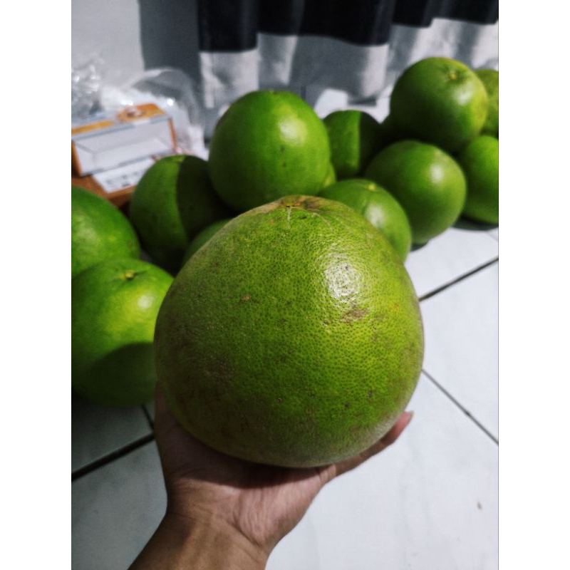 

1,5-1,9 Kg- Jeruk Pamelo Madu asli Muria- Manis segar banyak airnya