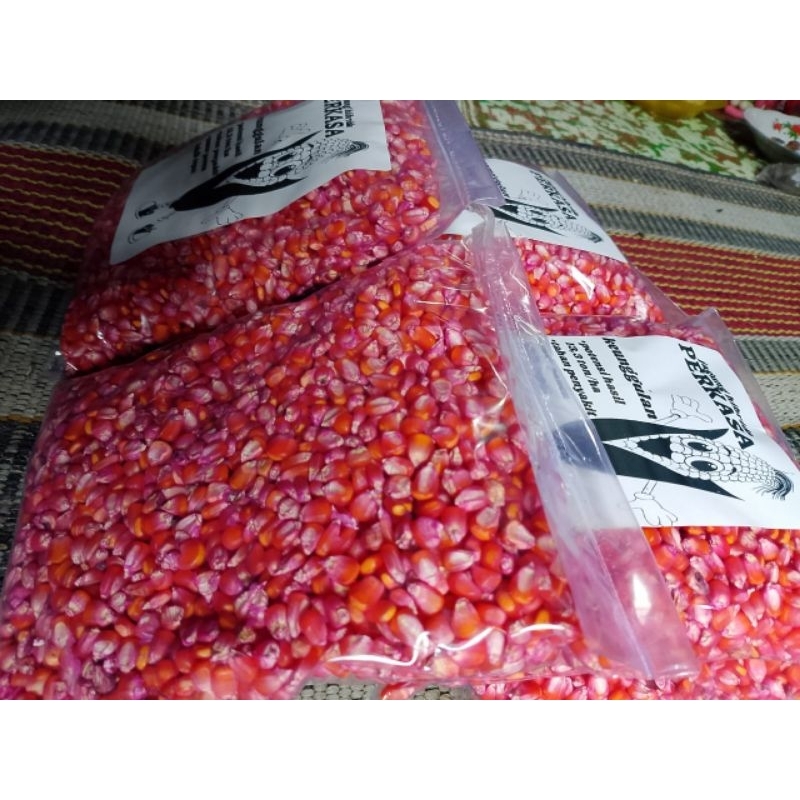 Raflezia 1Kg Benih Jagung Hibrida Nk6172 Perkasa Bibit Benih Jagung Super