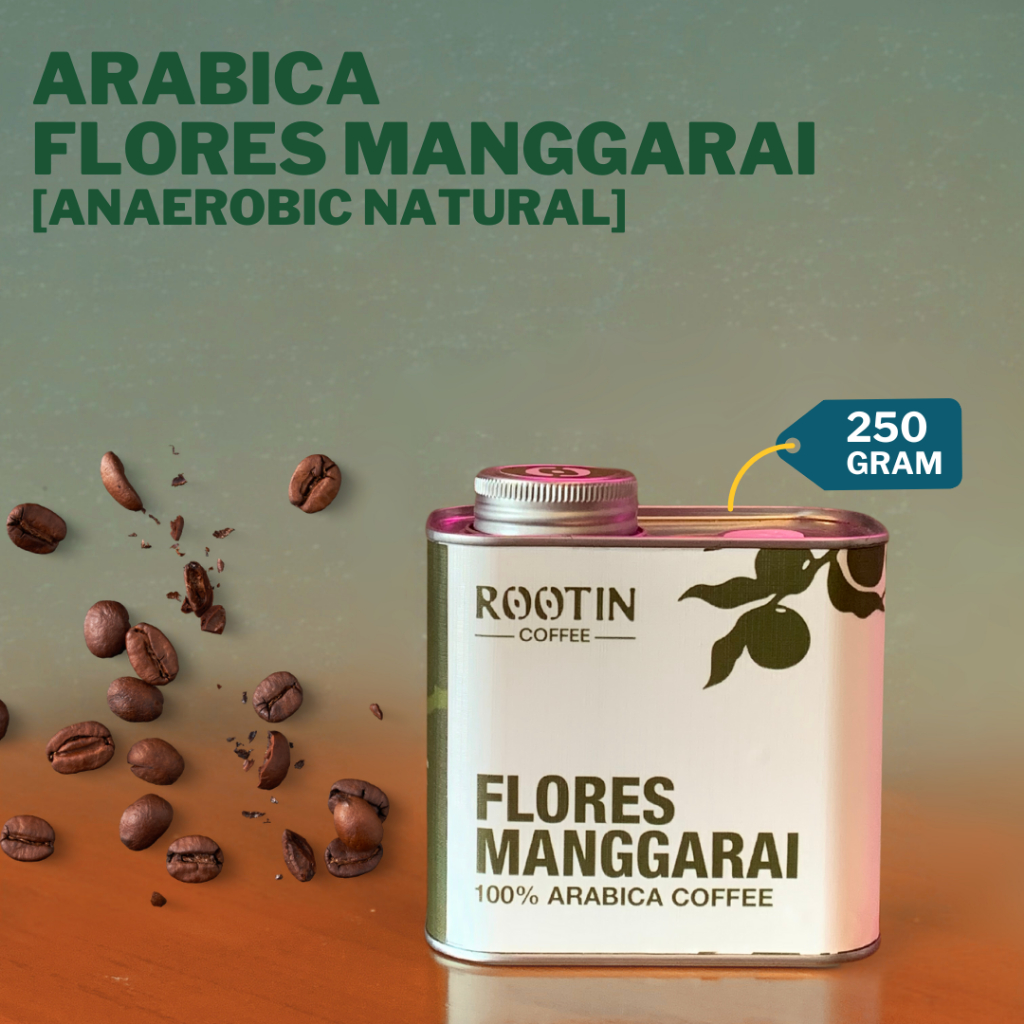 

Rootin Coffee Flores Manggarai Single Origin Arabika Roasted Beans Biji dan Bubuk Kopi / Tin 250gr