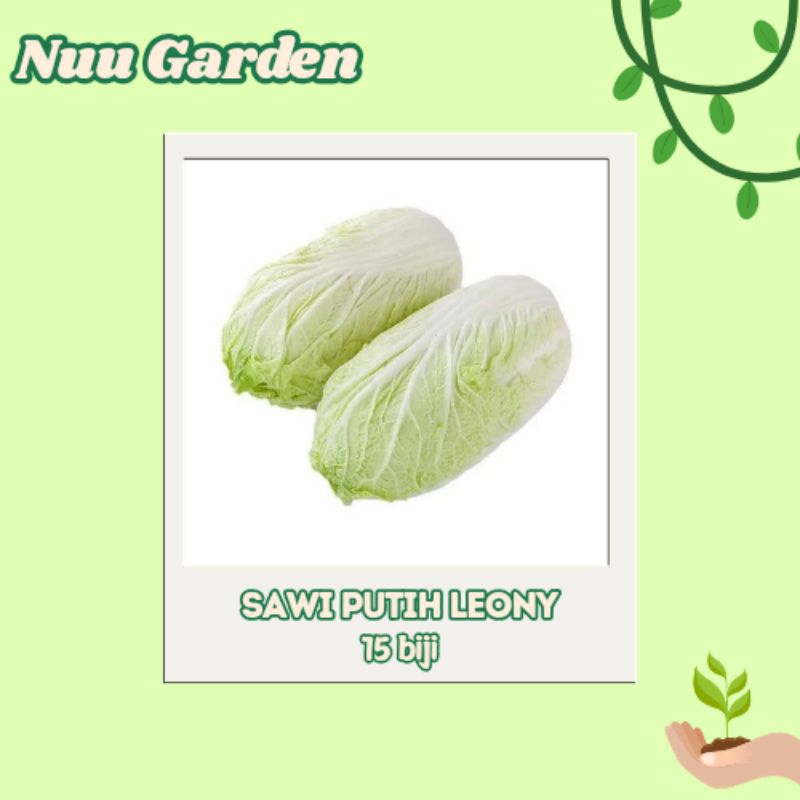 Nuu Garden 15 Biji - Benih Bibit Sawi Putih Leony