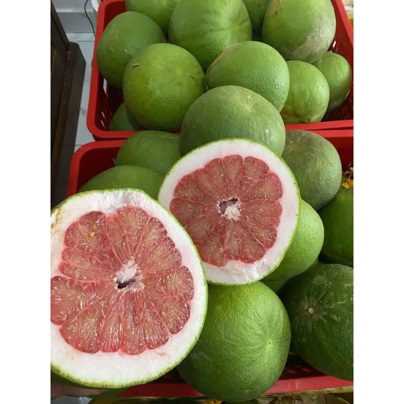 

jeruk pamelo madu muria berat 1 kg