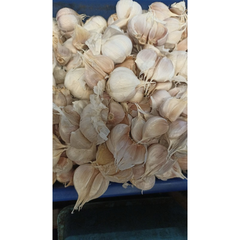 

Bawang Putih Berkualitas Langsung dari Petani 1/4 kg 1/5 kg 1 kg