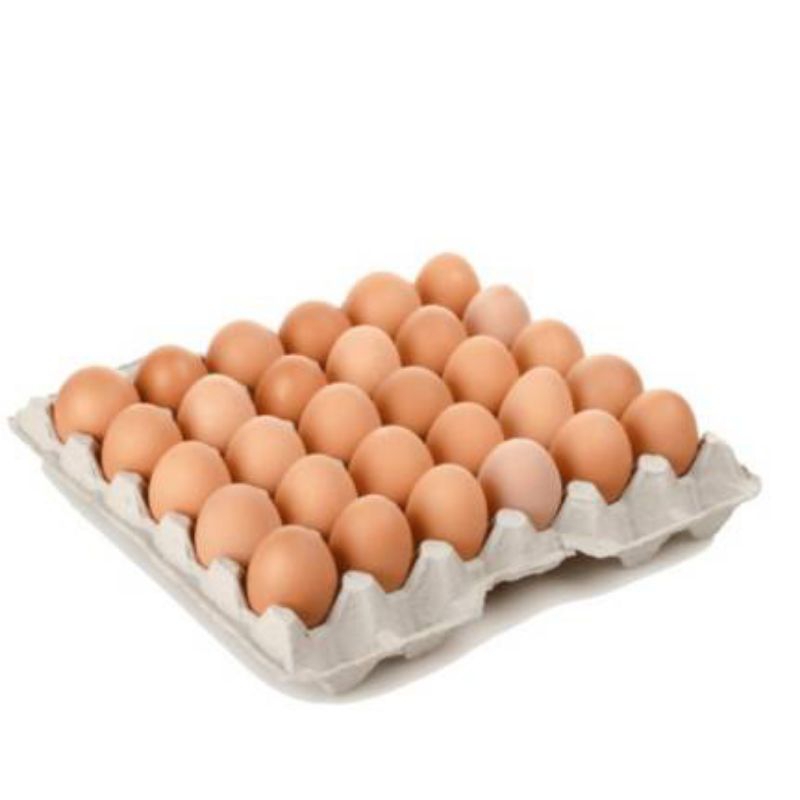 

Telur Ayam Lokal Fresh Sedang / Besar