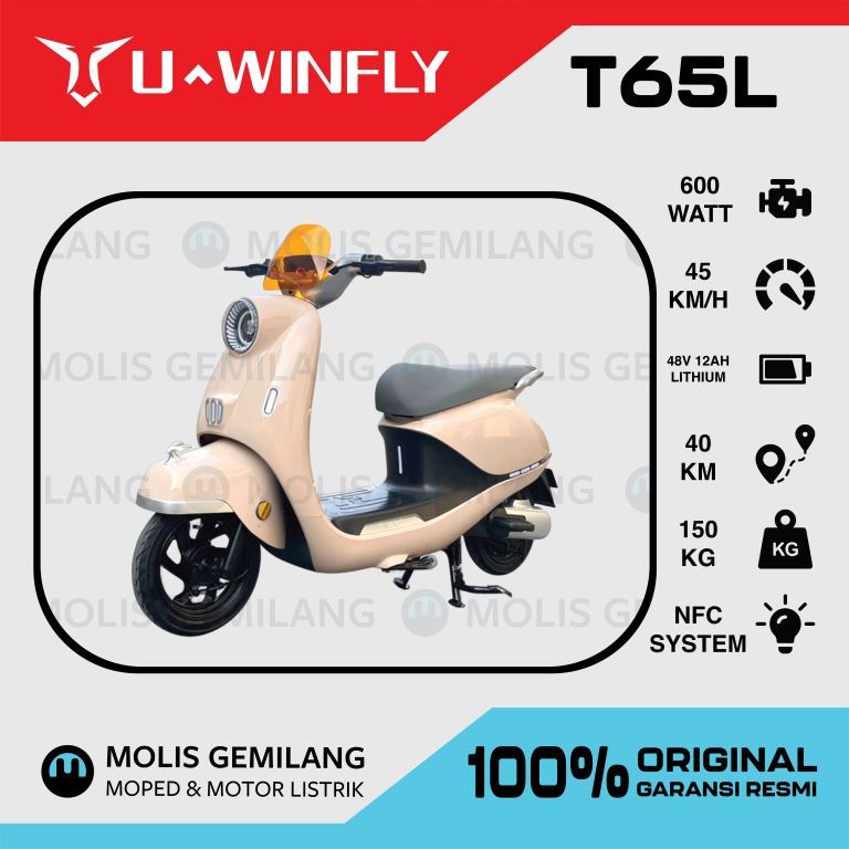 Sepeda Listrik U-Winfly T65L