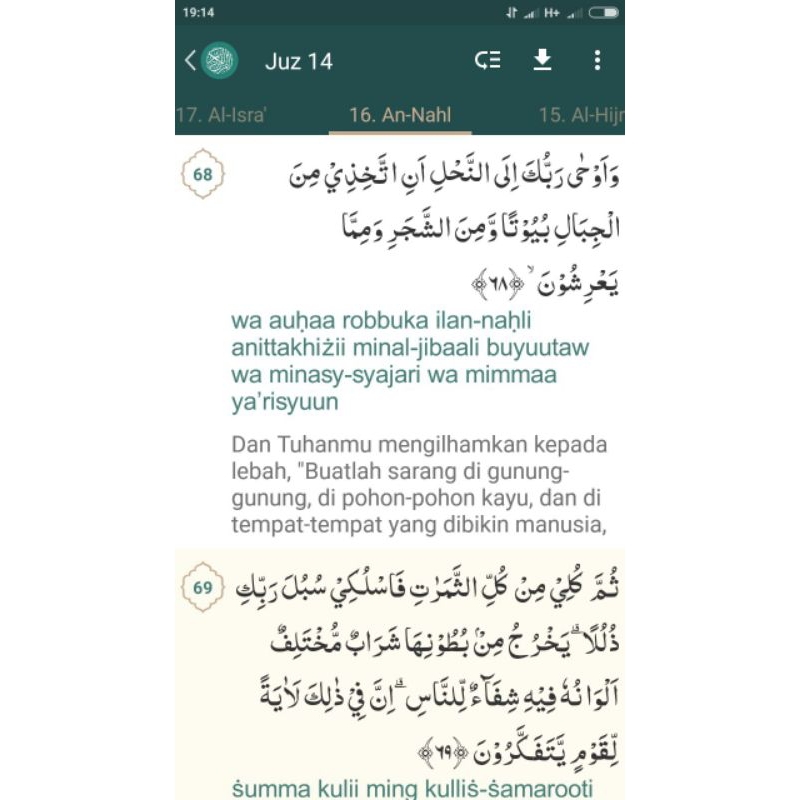 

madu Odeng liar / madu asli /madu asli berat 400gram