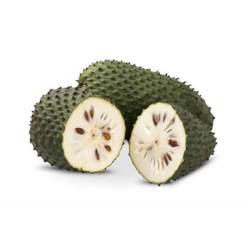 

sirsak matang 1,2kg