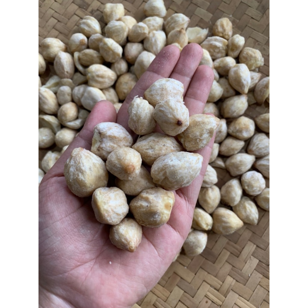 

Kemiri Bulat 500g - 1kg super grade A termurah dan utuh