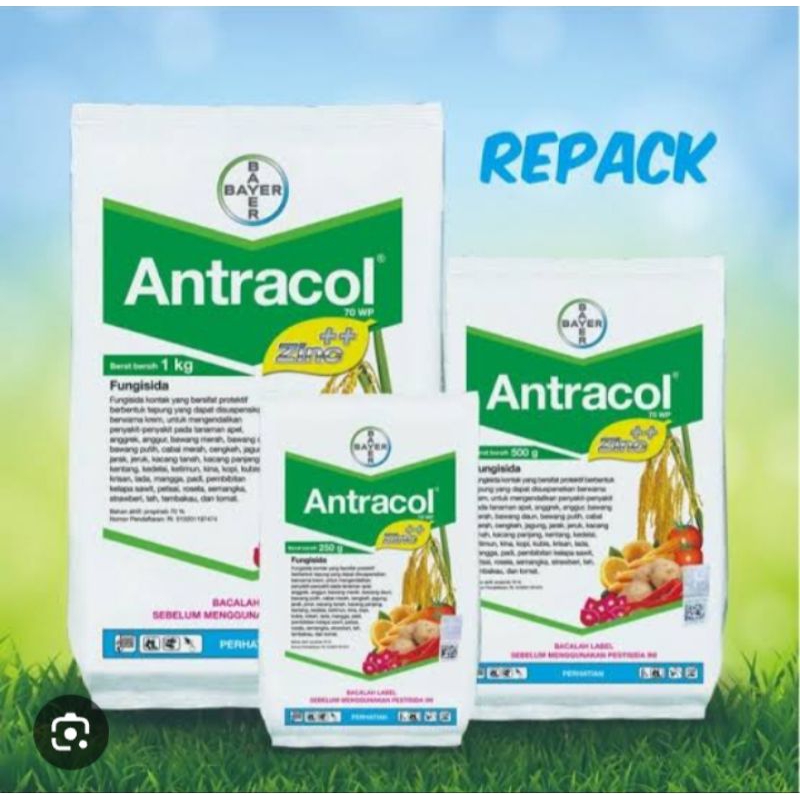 antracol 1kg