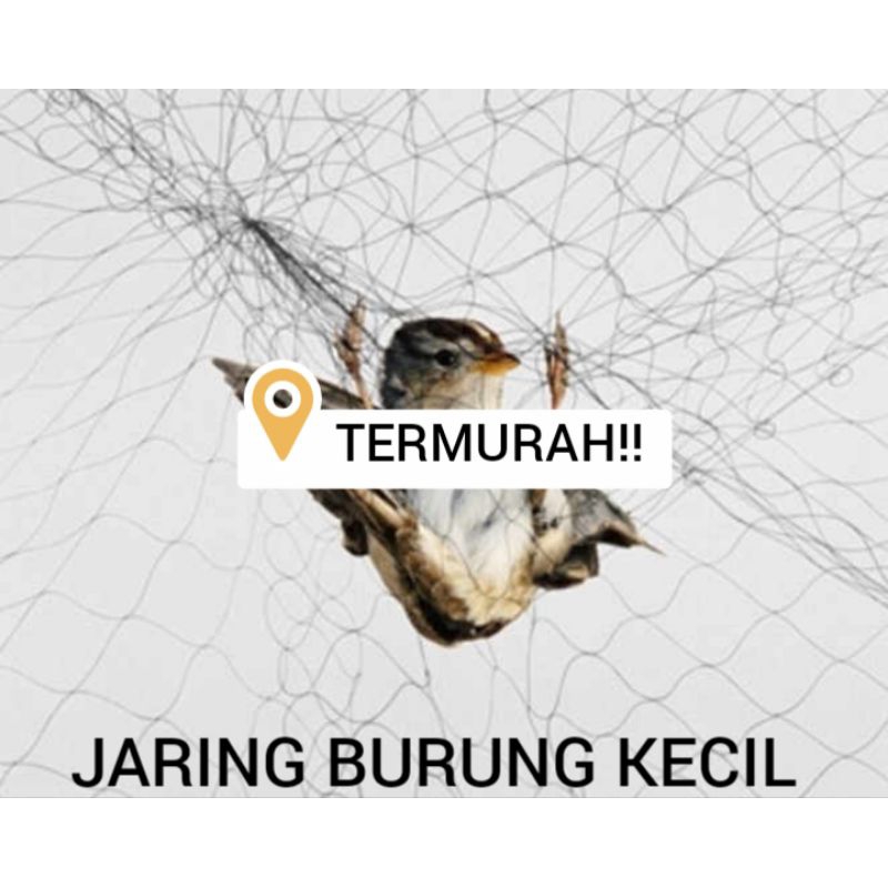 jaring burung kecil lubang 2 inch / 2 jari jaring burung Pipit burung emprit jaring hitam jaring bur