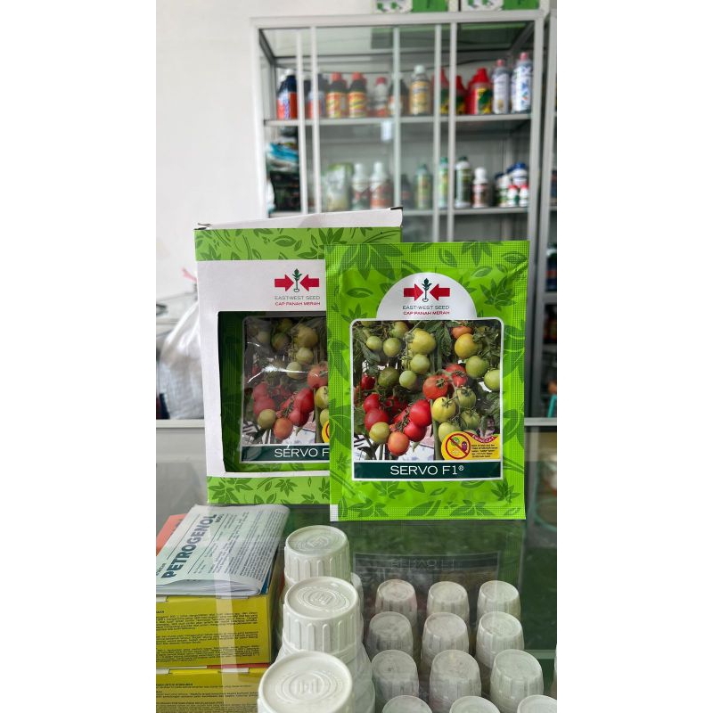 Benih Tomat Servo || Original