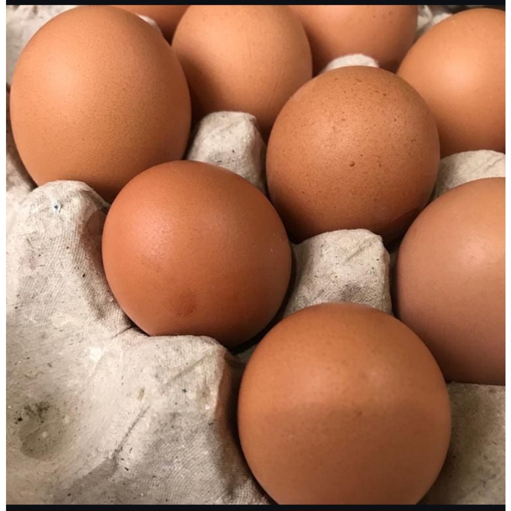 

Telur Ayam Negeri PREMIUM - 30 pcs GRADE A Fresh Bersih Kualitas Terbaik