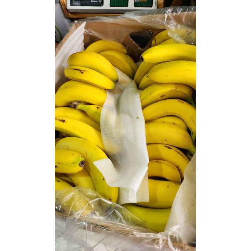 

Pisang Cavendish 1 BOX