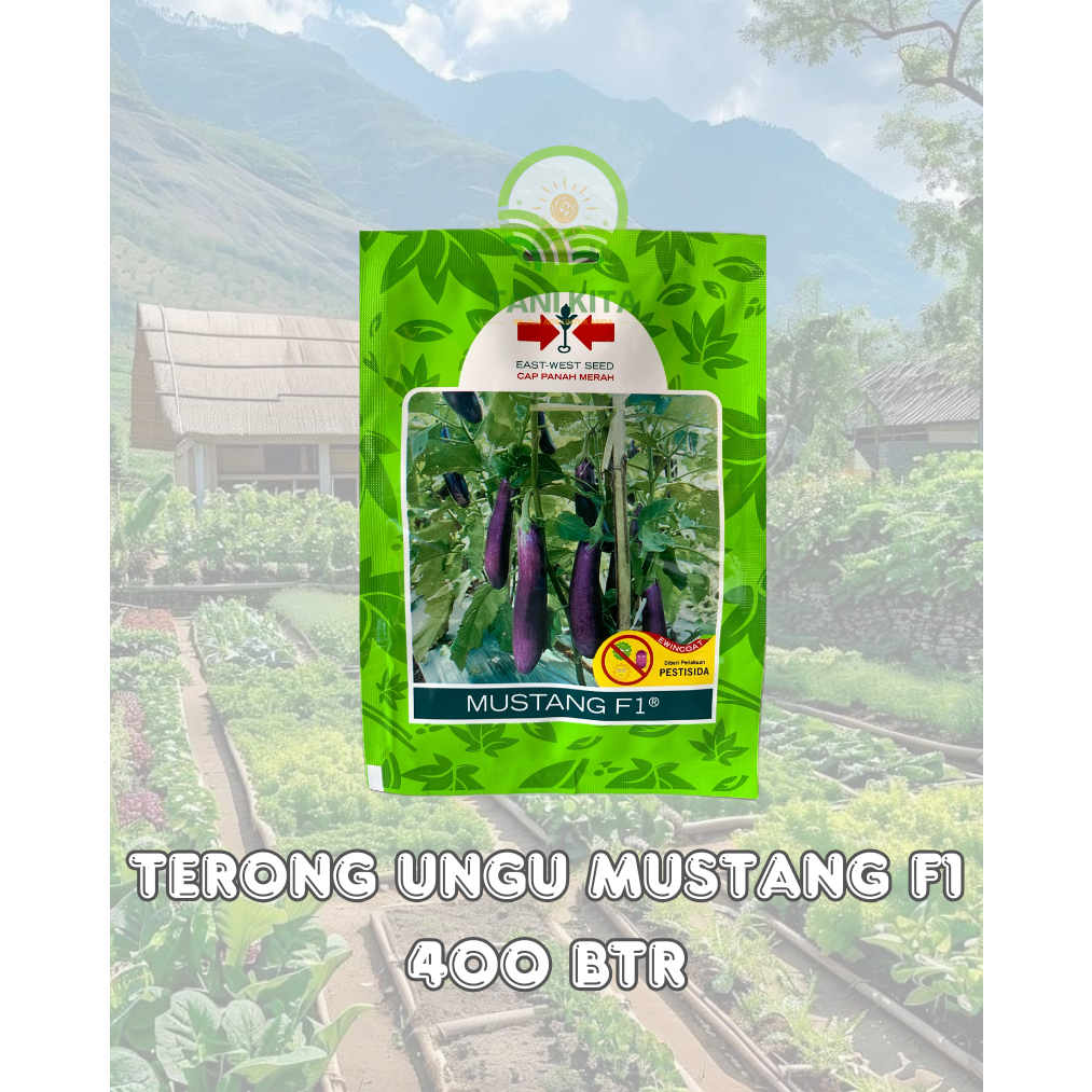 BIBIT TERONG UNGU MUSTANG F1