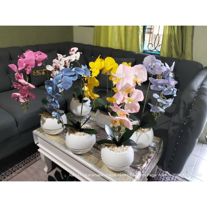 Anggrek Premium Latex