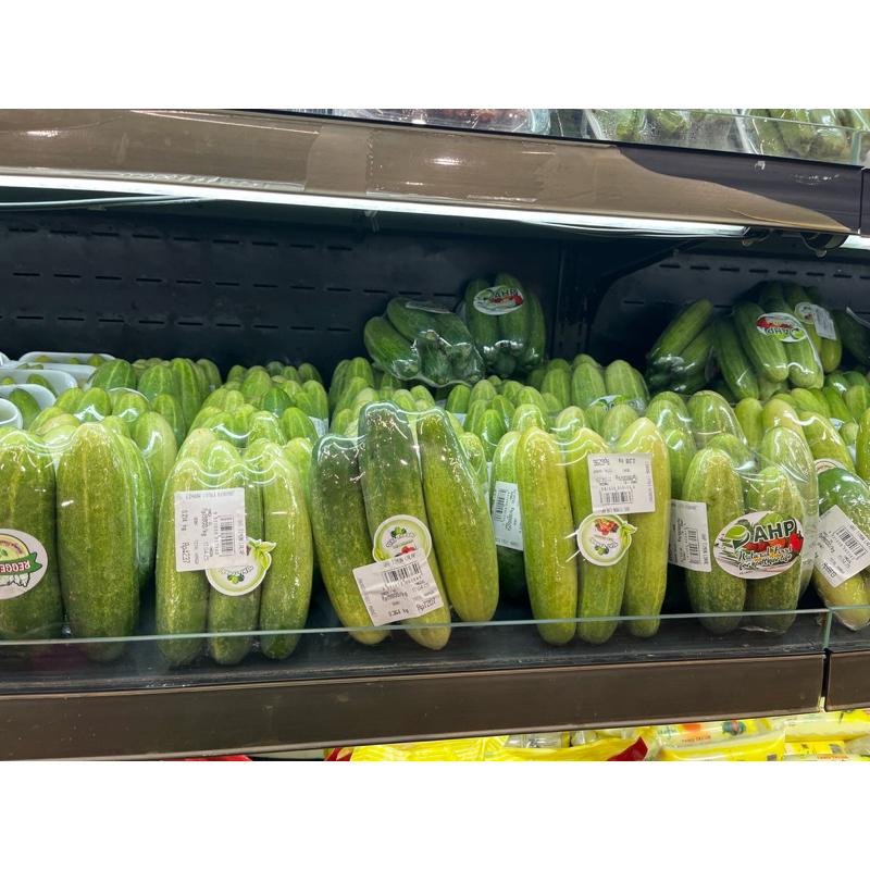 

SAYUR TIMUN LALAP 500-700gr