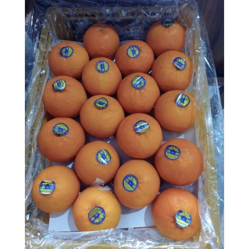 

Jeruk Wogam / Wokam 1kg Malang Kota