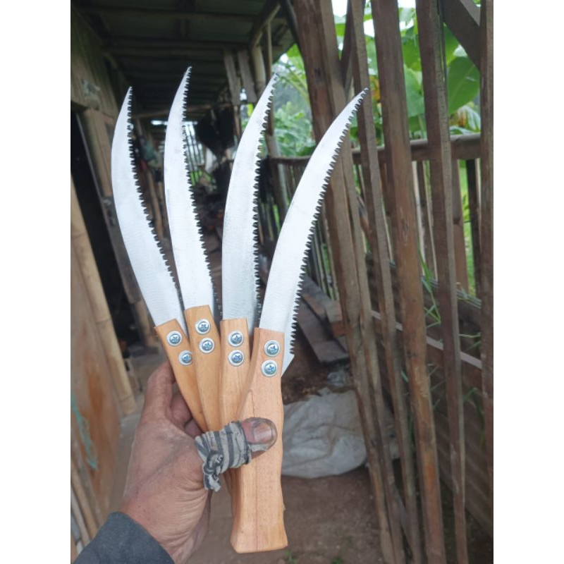 gergaji pruning bonsai siap pakai