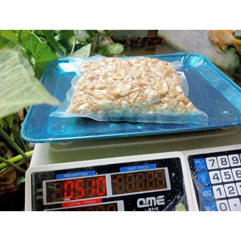 

kemiri pecah ukuran 500 gram