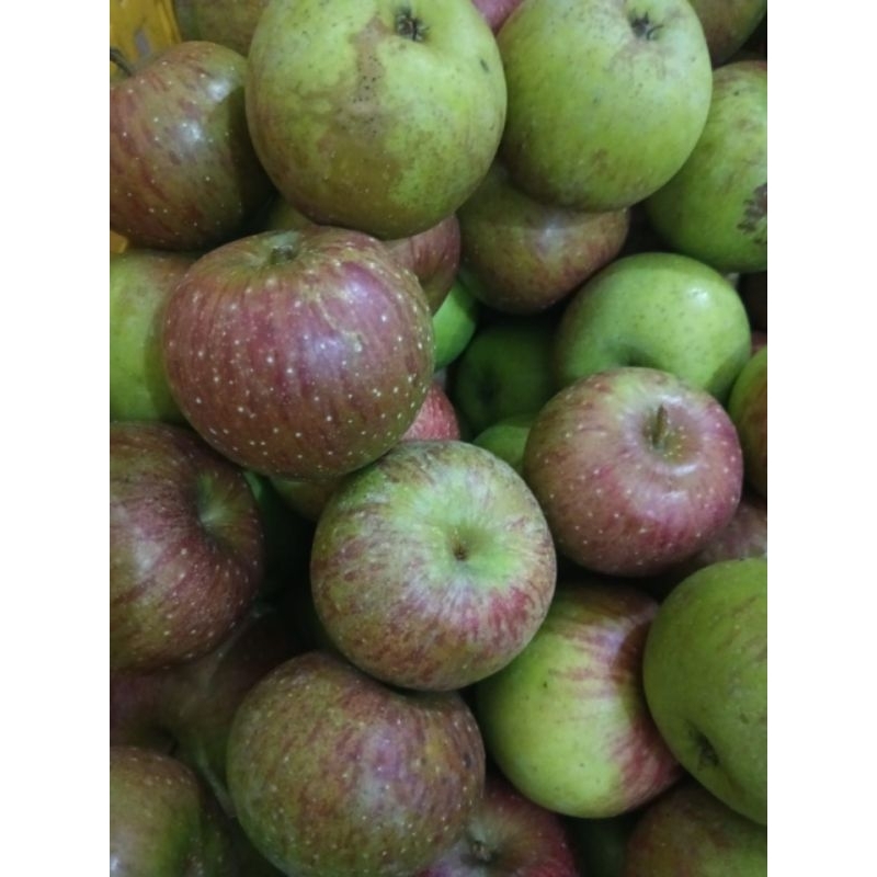 

apel romebeauty jumbo 1kg/isi 5-8 buah/fresh apel malang