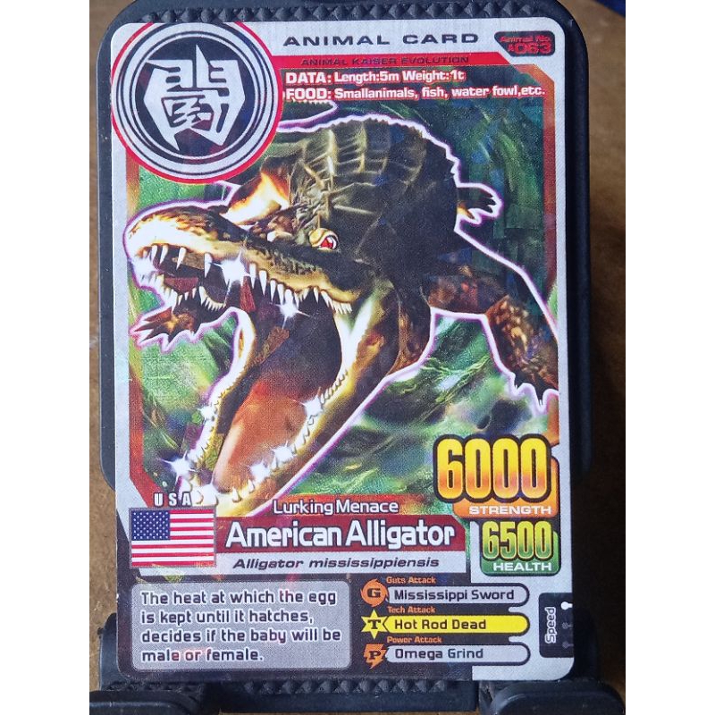 Animal Kaiser American Aligator Silver Evo 8