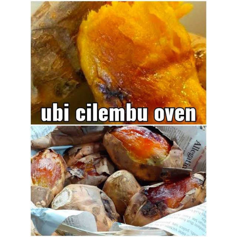 

Ubi Cilembu Matang Per Kg