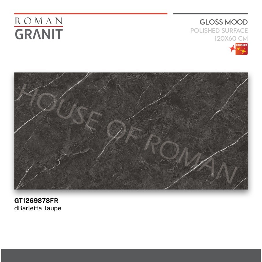 ROMAN GRANIT dBarletta Taupe 120x60 GT1269878FR ROMAN GRANIT
