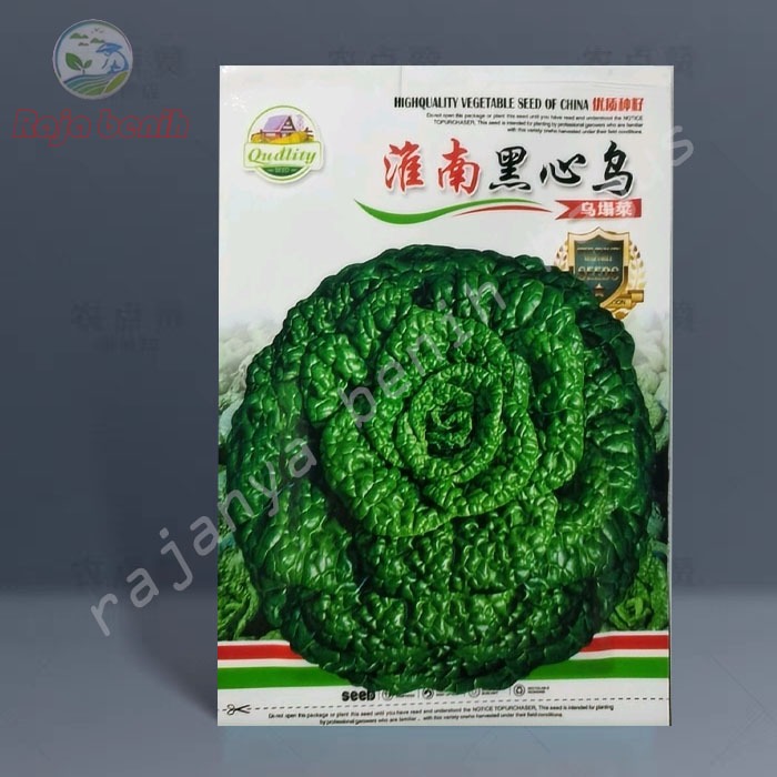 Benih sawi pagoda | benih sayuran | benih sawi pagoda isi 1500        AA - 34