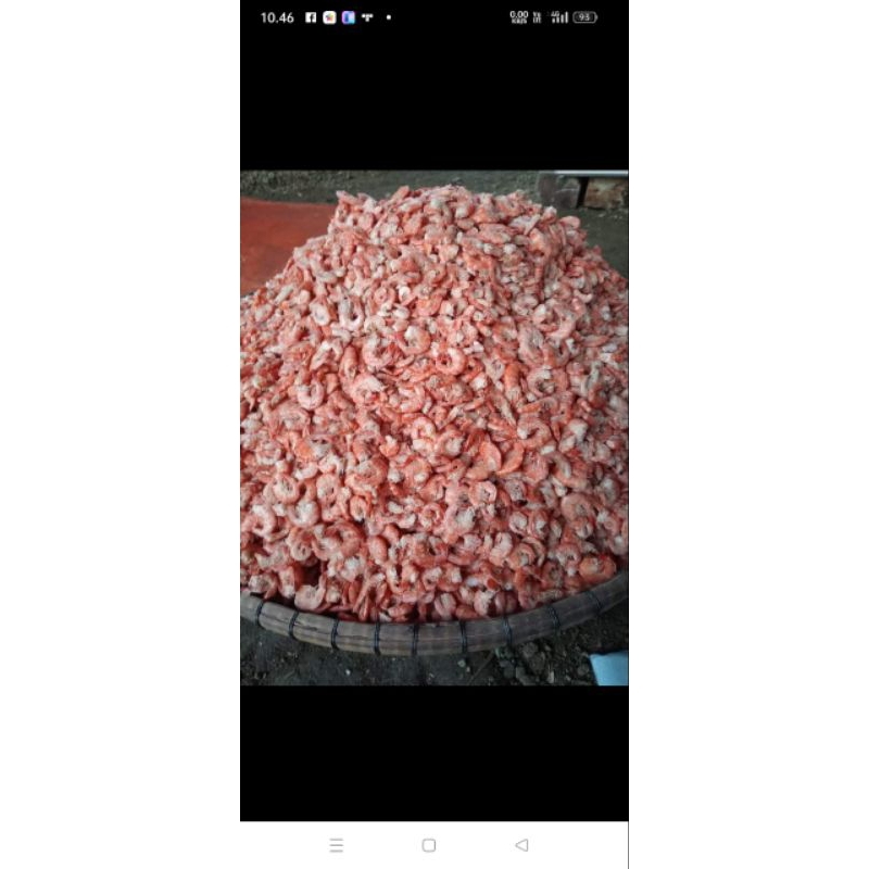 

Ebi Kering Asli dari Cilacap