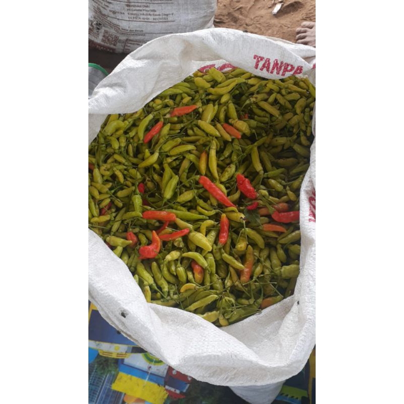 

paketan rawitmerahdanputih
