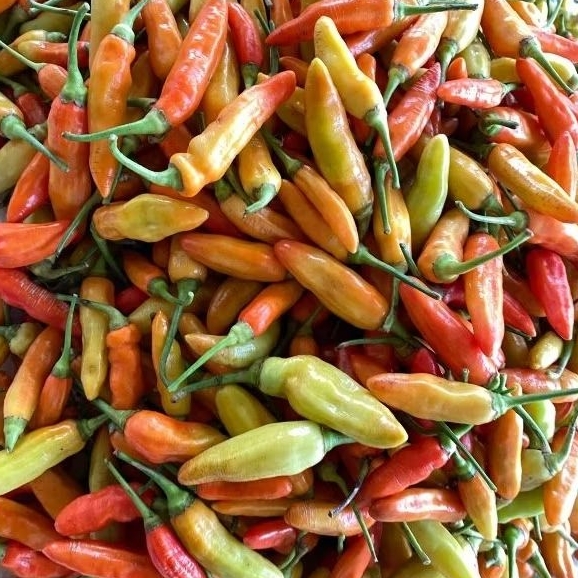 

Cabe Rawit Fresh 1KG