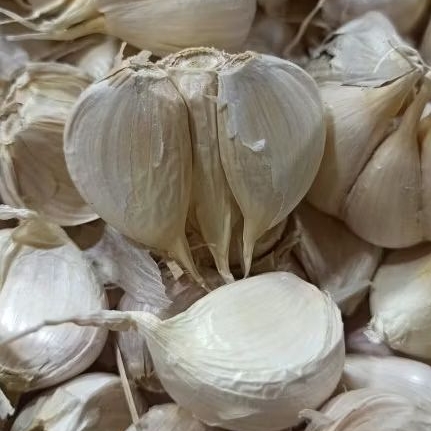

bawang putih kating 250gram