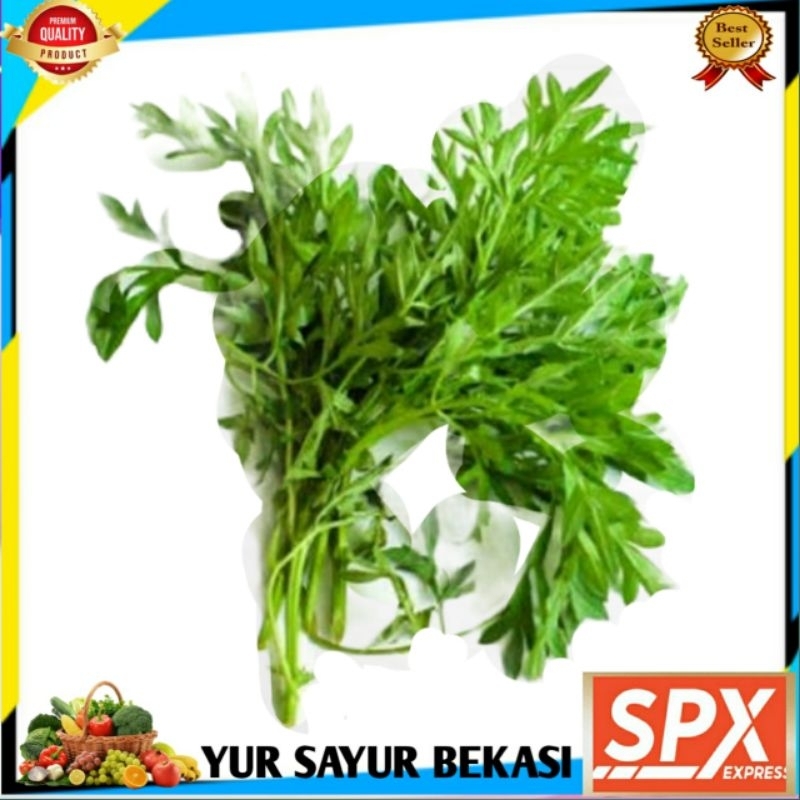

Kenikir Daun (1 ikat).