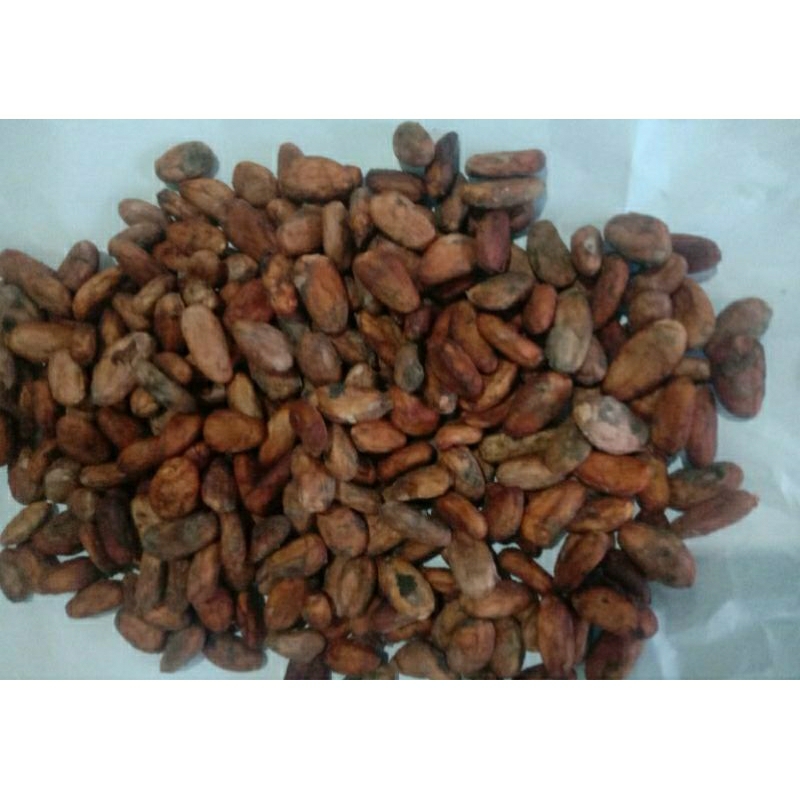 

BIJI KAKAO KERING | BIJI COKLAT | 500gr