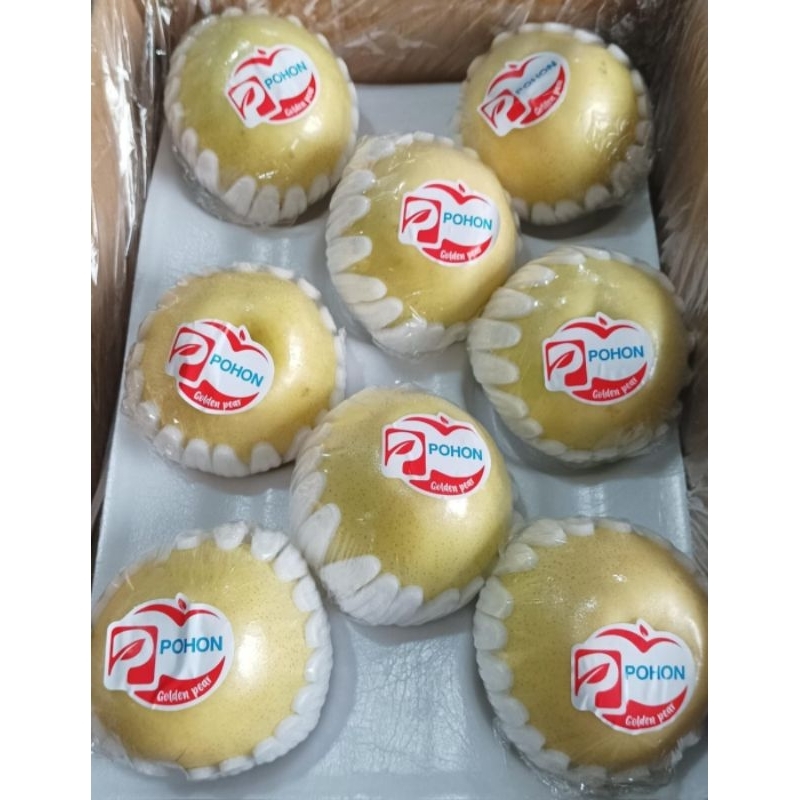 

Pear Golden Pohon 1 kardus 8 kg