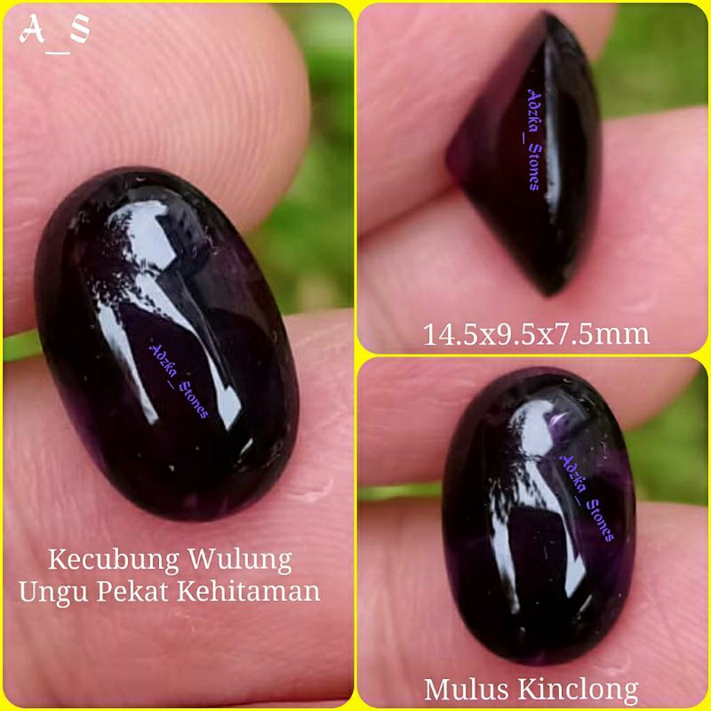 Kecubung Ungu Wulung  Super HQ