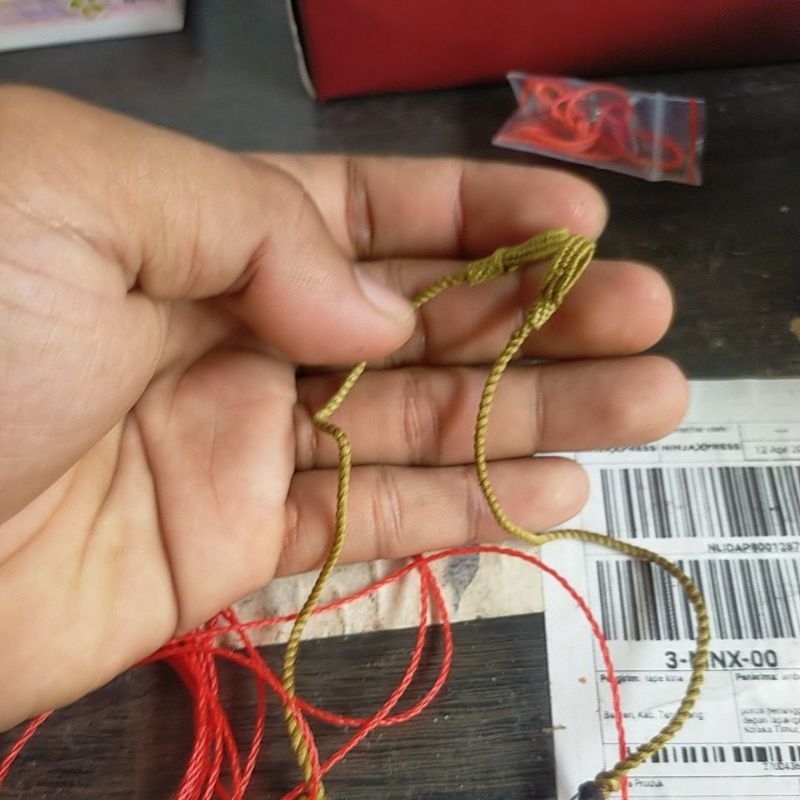 tali alap alap elang kecil