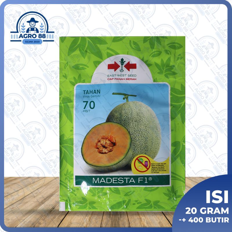 Benih melon Madesta F1