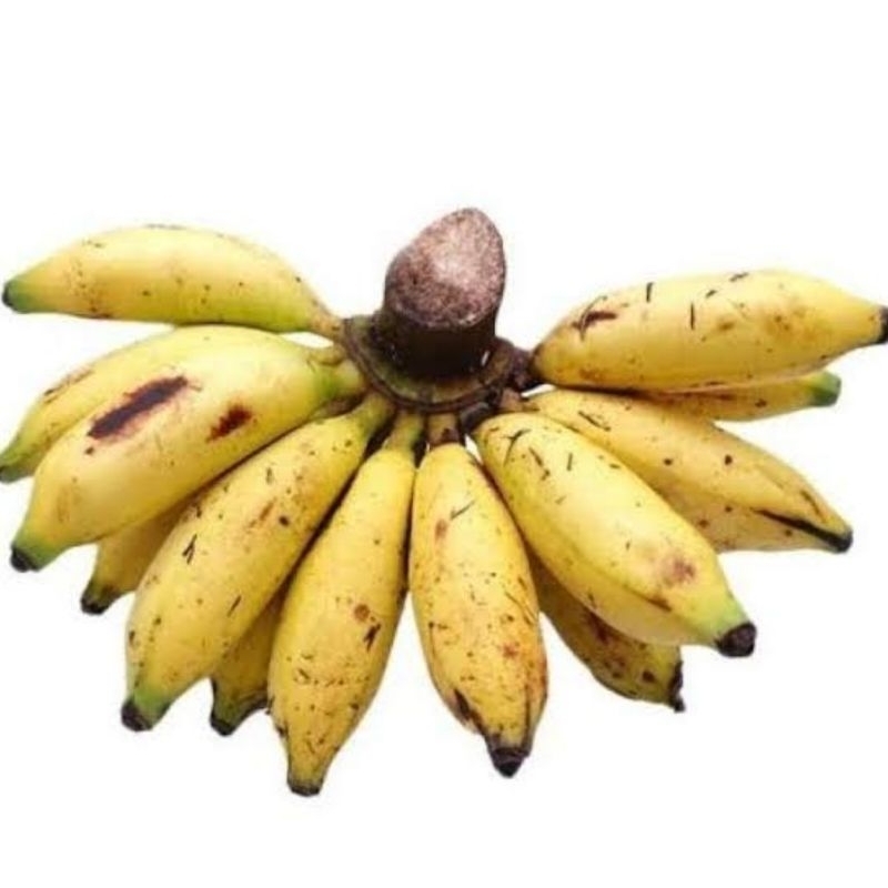 

Pisang lampung 1 sisir