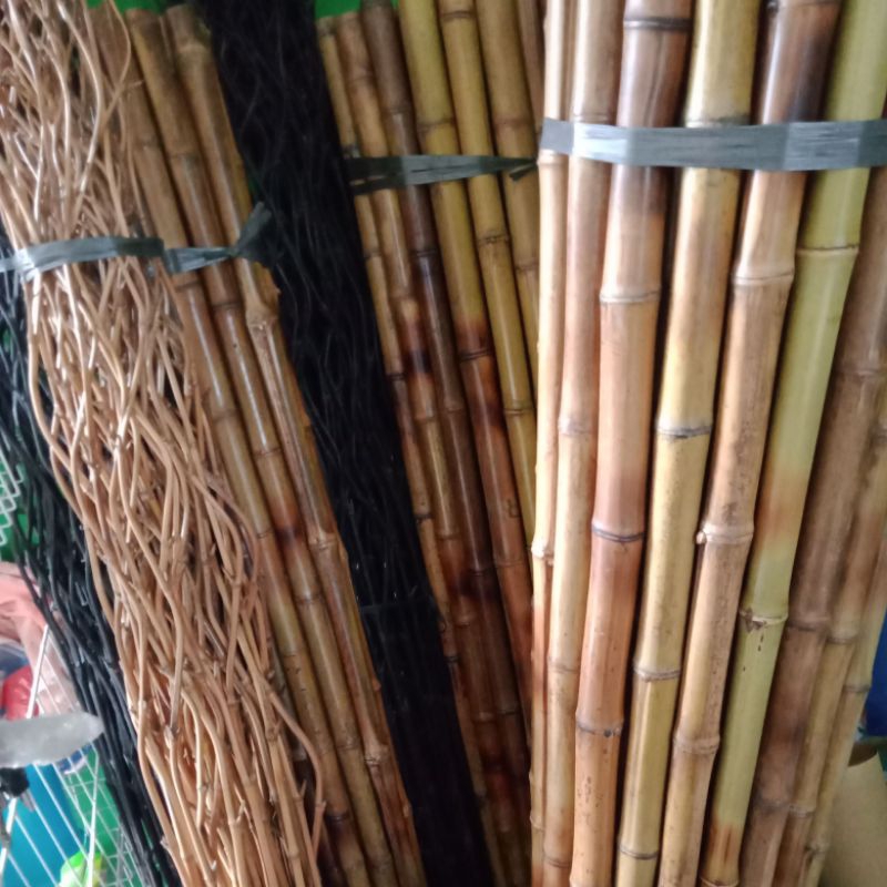 bambu lurus #tongkat