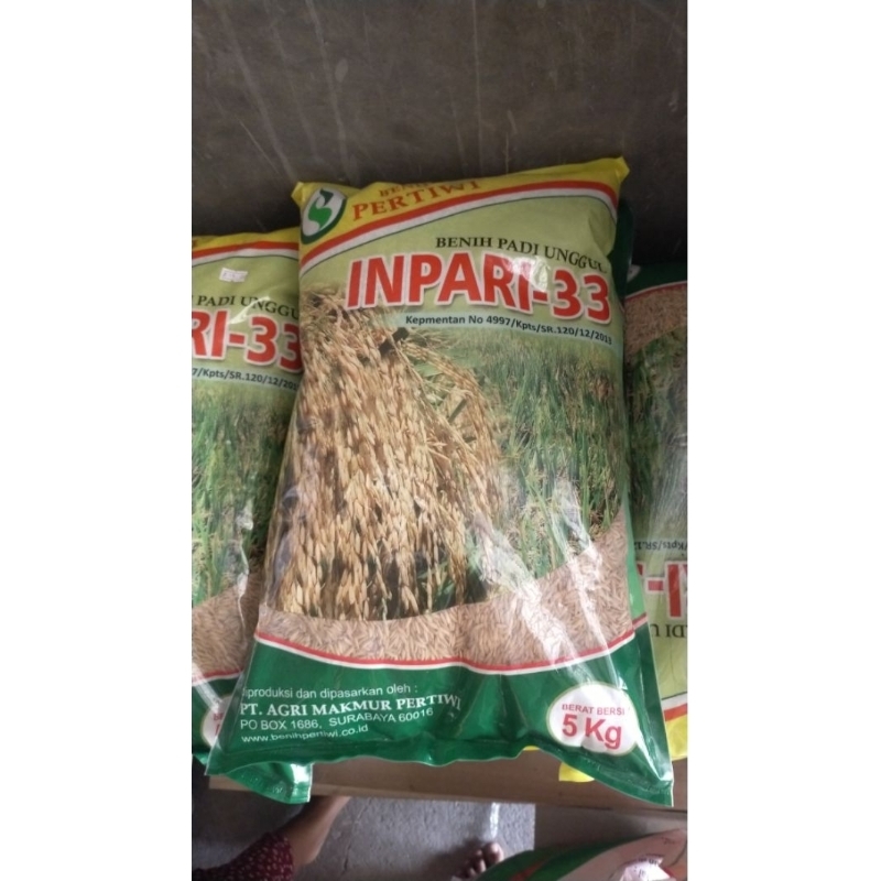 Benih Padi Inpari-33