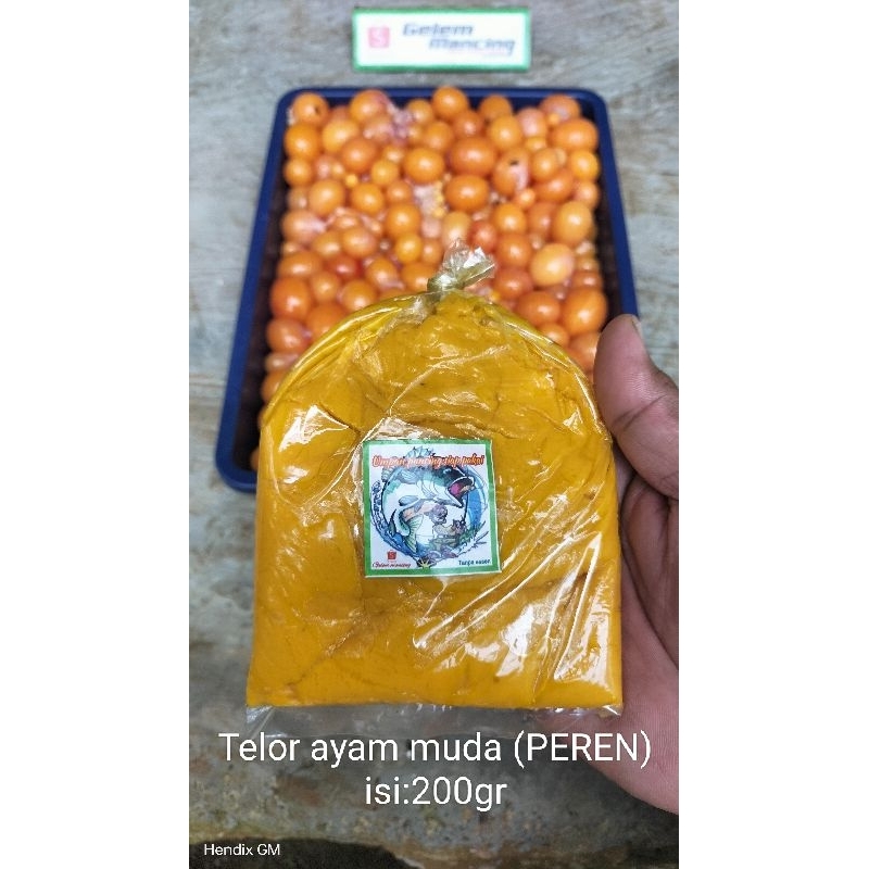 Umpan pancing siap pakai telor ayam muda (PEREN)